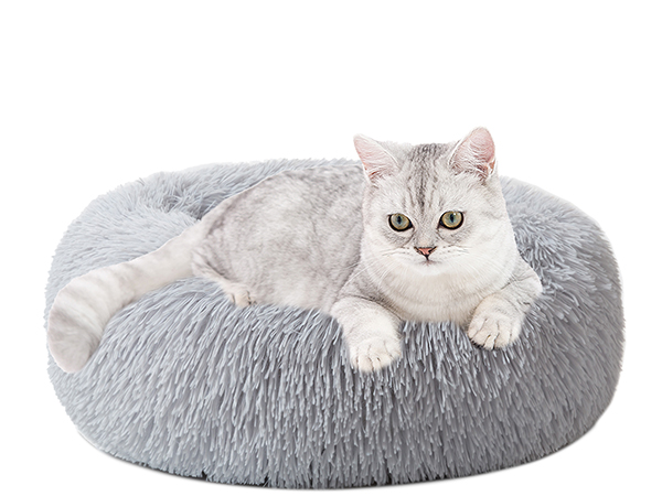 跨境电商拍摄设计-亚马逊A+设计-宠物用品